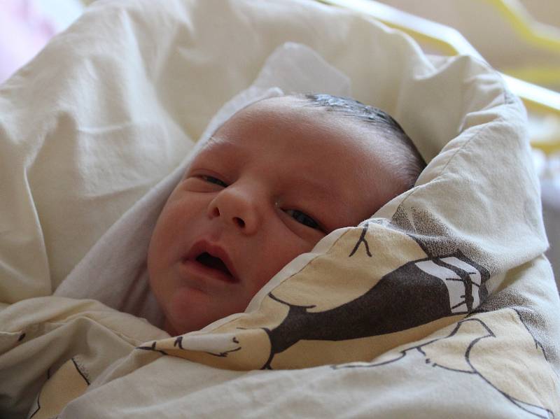 Matěj Bust je první miminko v rodině Pavly Lukačové a Jiřího Busta. Chlapeček se narodil v prachatické porodnici v úterý 27. února deset minut před čtvrtou odpoledne. Vážil 3900 gramů. Rodina žije ve Volarech.