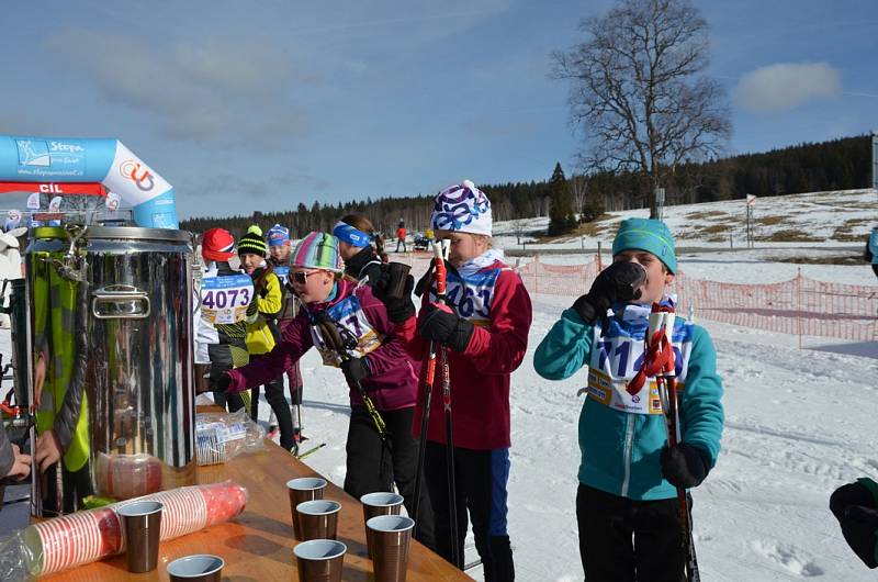 První díl 32. ročníku Šumavského Skimaratonu absolvovali lyžaři klasici mezi Modravou a Kvildou. Běželo se volnou technikou, zítra je na programu klasika.Foto: Zdeněk Formánek