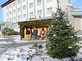Vánoční strom ve Volarech je na svém místě. Rozzáří se v neděli 3. prosince.