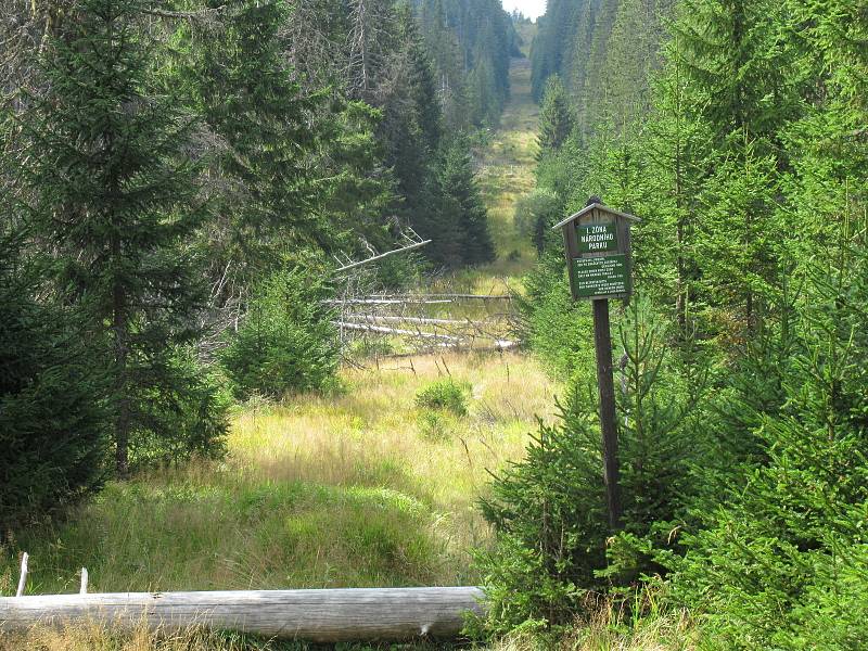 Ilustrační foto Šumava.