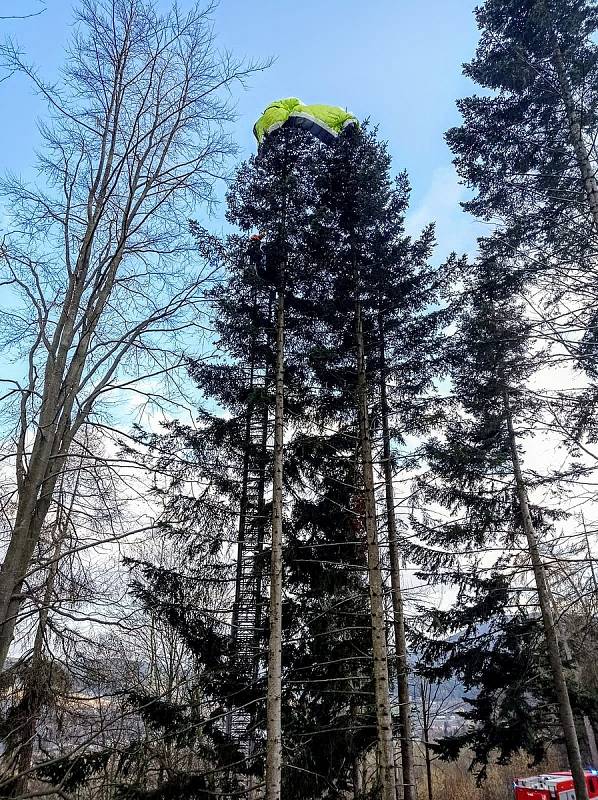 Prachatičtí hasiči zachraňovali paraglidistu, který přistál na stromě.