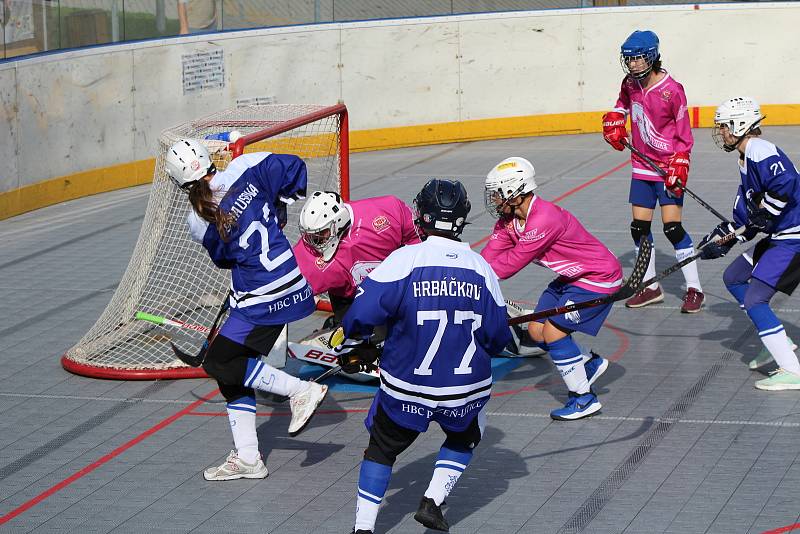 Hokejbalová liga žen - turnaj v Prachaticích.