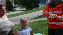 Stovky návštěvníků se v tomto týdnu vystřídaly na stanovištích, která byla připravena při Světovém dni první pomoci v Prachaticích a ve Vimperku. 