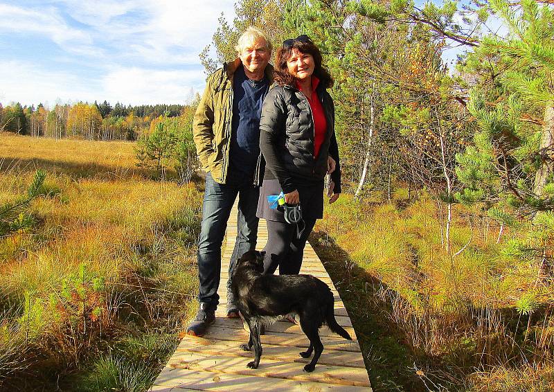 Národní park Šumava dokončil obnovu povalového chodníku na Soumarském rašeliništi u Volar. Naučná stezka turisty zavede k vyhlídkové věži a zpět k parkovišti lze projít okruh kolem řeky Vltavy.