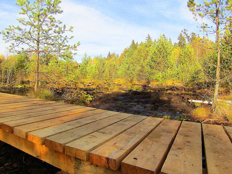 Národní park Šumava dokončil obnovu povalového chodníku na Soumarském rašeliništi u Volar. Naučná stezka turisty zavede k vyhlídkové věži a zpět k parkovišti lze projít okruh kolem řeky Vltavy.