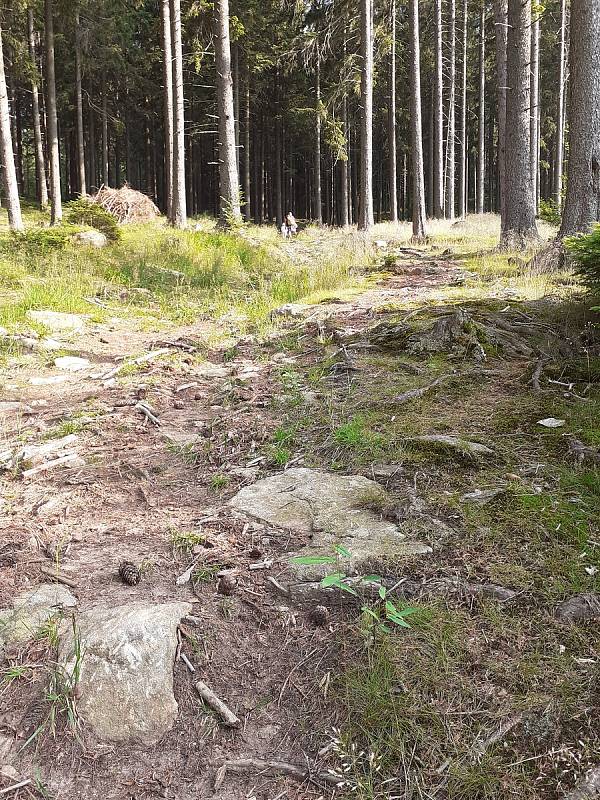 Jedna z nejvýše položených vesniček v jižních Čechách s 97 stálými obyvateli je doslova balzám na duši. Lze navštívit okolní lesy, vystoupat na vrchol Boubínského pralesa a objevovat i další krásy.