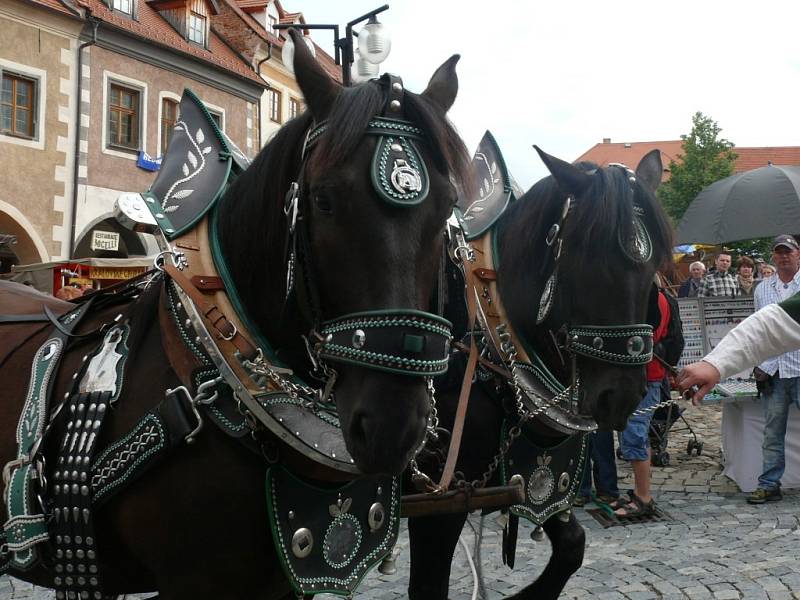 V Prachaticích začaly Slavnosti Solné zlaté stezky 2013.