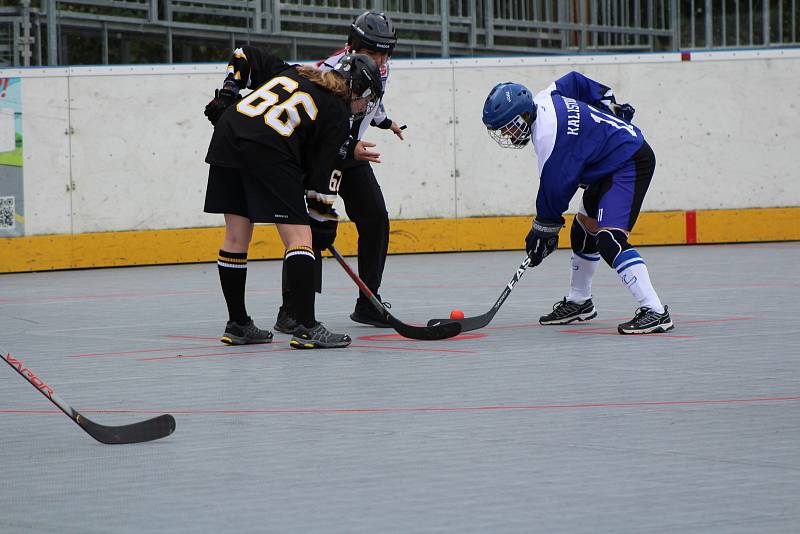 Hokejbalová liga žen - turnaj v Prachaticích.