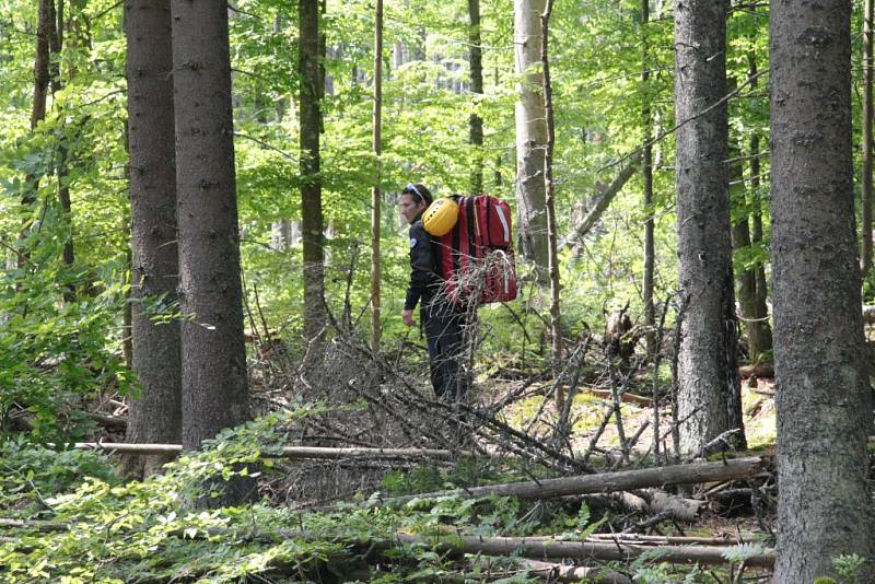 Oblast Národního parku Šumava od Nového Údolí přes Vltavskou cestu k Nové Peci až po Plešné jezero se ve čtbrtek stala místem pátrání po dvanácti ztracených účastnících nelegálního závodu. Naštěstí se jednalo o součinnostní cvičení záchranných složek.