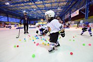 Vimperští se znovu zapojí do akce pojď hrát hokej.