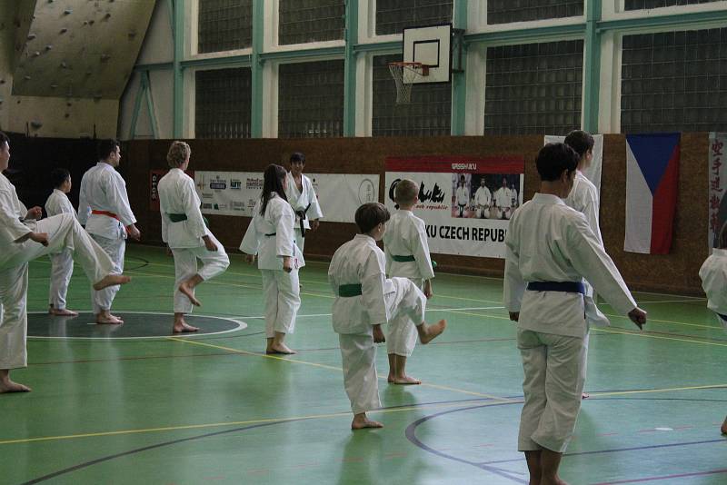 Prachatice hostí 14. ročník tréninkového kempu karatistů Gasshuku Czech 2019.