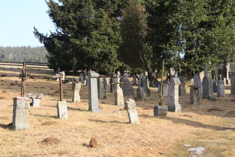 Borovoladský hřbitov v Novém Světě.