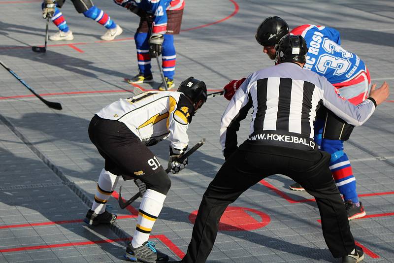 Hokejbalová II. liga jih: HBC Prachatice B - HBC Rosa ČB 5:2.