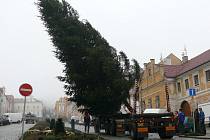 Usazování vánočního stromu na vimperském náměstí.