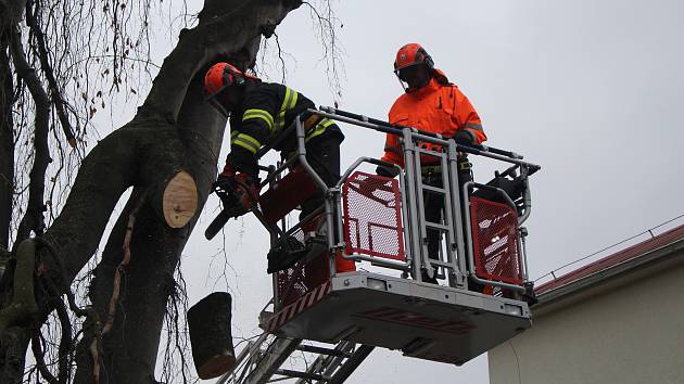 Prachatičtí profesionální hasiči v pátek dopoledne káceli strom u bývalé polikliniky.