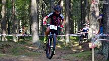 Bikeři zdolávali 21. Šumavský MTB maraton. Foto: Zdeněk Formánek