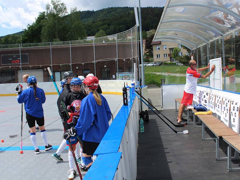 Hokejbalové reprezentantky ČR absolvovaly tréninkový kemp před odletem na MS do Kanady v Prachaticích.