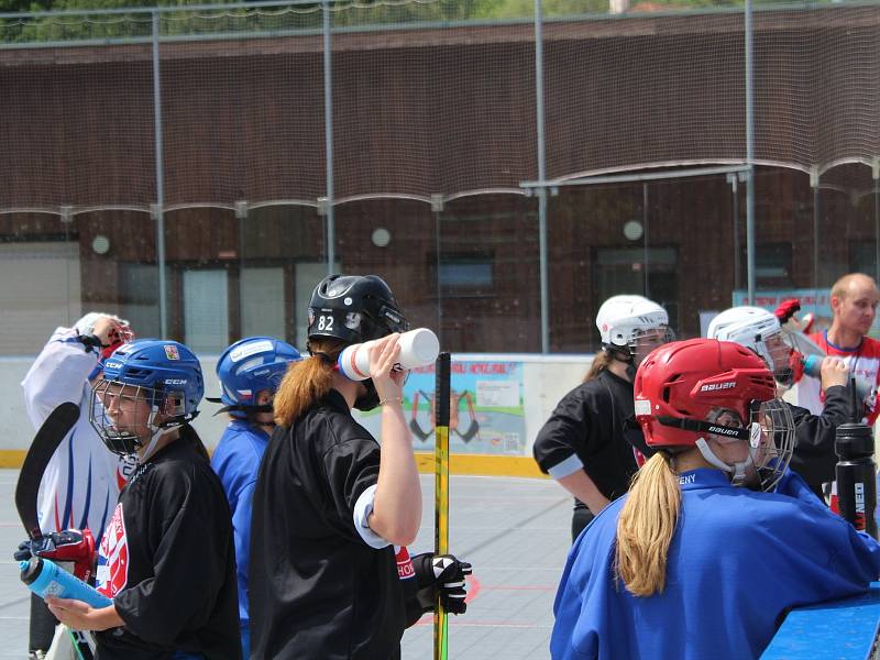 Hokejbalové reprezentantky ČR absolvovaly tréninkový kemp před odletem na MS do Kanady v Prachaticích.
