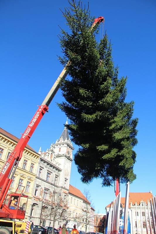 Vánoční smrk dorazil na prachatické Velké náměstí ve středu 18. listopadu dopoledne.