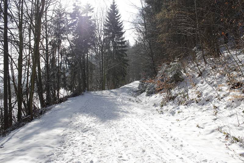 Prachatická tankovka má čerstvě připravenou stopu. Milovníci lyžování tak v pondělí 19. února vyrazili.