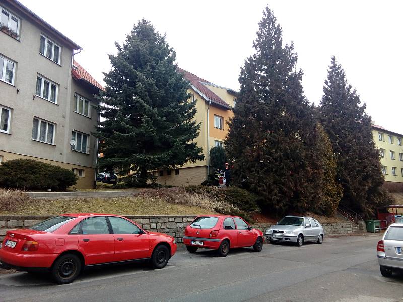 Ve středu dopoledne pokáceli prachatičtí profesionální hasiči rozdvojený smrk mezi bytovkami v ulici Na Sadech. Strom rostl v těsné blízkosti jedné z bytovek.