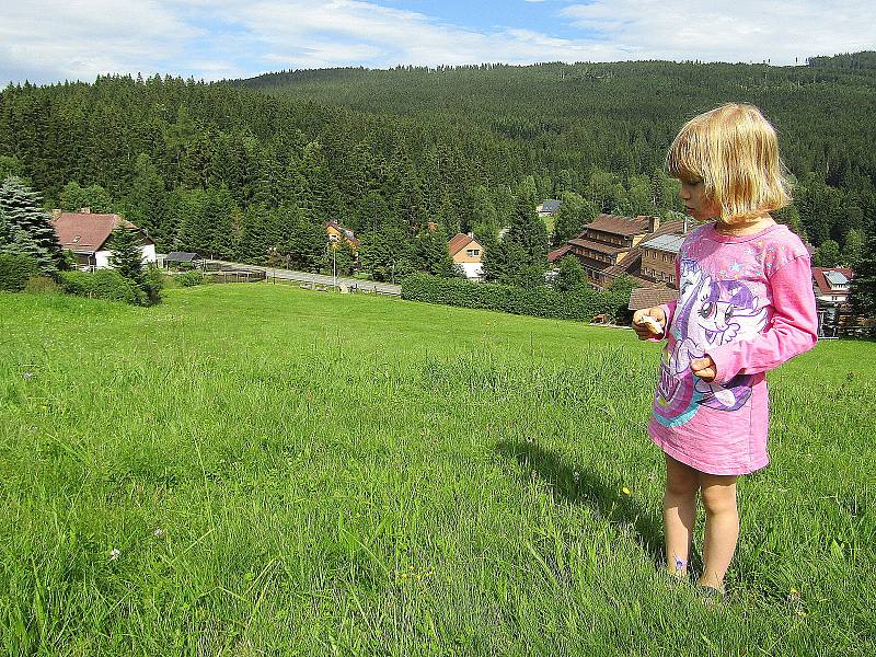 Jedna z nejvýše položených vesniček v jižních Čechách s 97 stálými obyvateli je doslova balzám na duši. Lze navštívit okolní lesy, vystoupat na vrchol Boubínského pralesa a objevovat i další krásy.