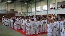 Mladí judisté absolvovali VC Prachatic v rámci mezinárodního projektu Judo & Art.