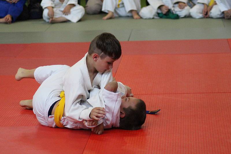 Mladí judisté se představili na VC Prachatice v rámci mezinárodního projektu Judo & Art.