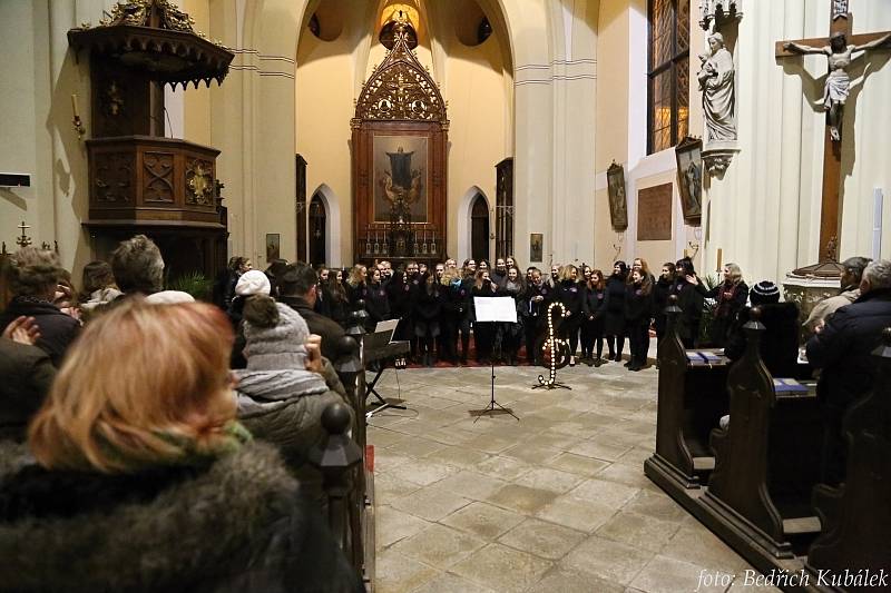 Prachatická Fontána zpívala, Marcela Haspeklová četla úryvky z knihy Šumava domovem.