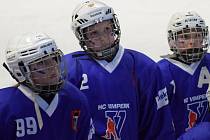 Vrátí se ještě na led alespoň mladí hokejisté?
