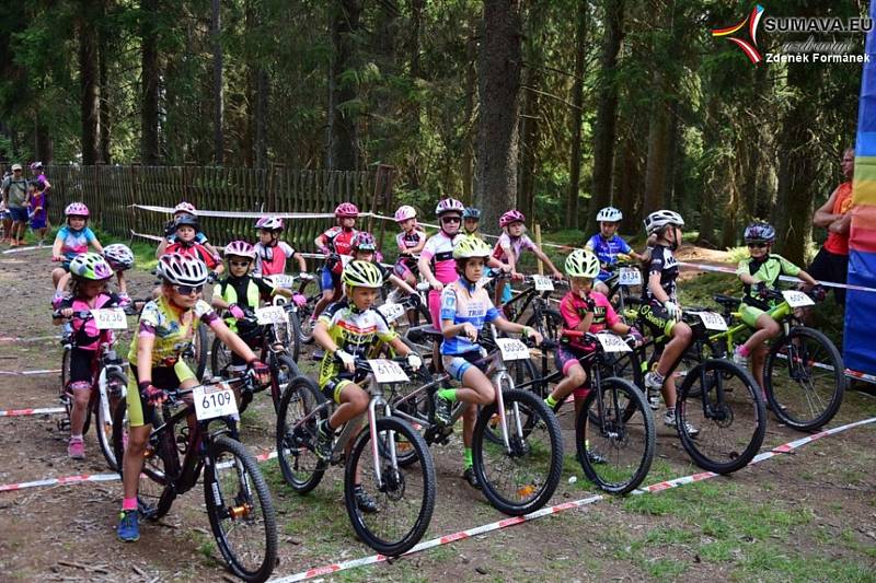 Bikeři zdolávali 21. Šumavský MTB maraton. Foto: Zdeněk Formánek