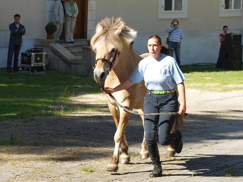 Přestože se český komik Josef Lábus stal kmotrem již dobré desítky dětí, při křtu koní asistoval vůbec poprvé. Této cti a hned v trojnásobném provedení se mu dostalo v sobotu odpoledne na zámku v Bohumilicích, při akci nazvané Skalické léto 2009.