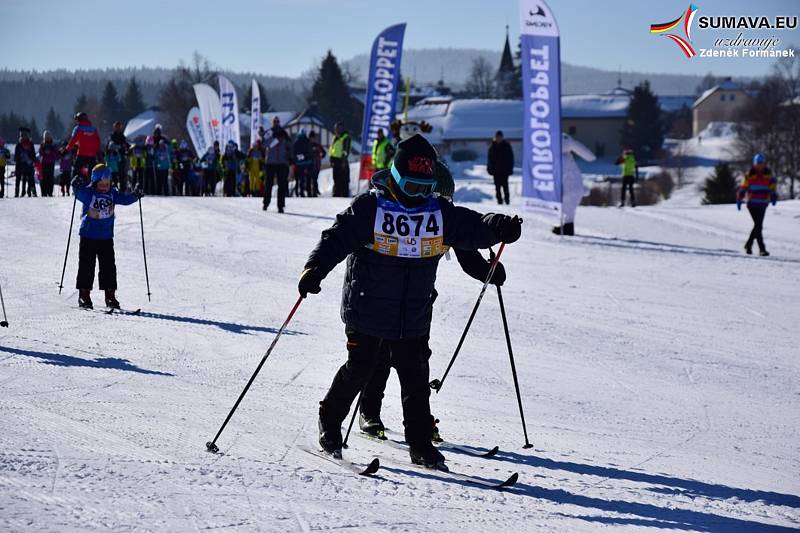 Šumava o víkendu žila dalším ročníkem Šumavského skimaratonu.