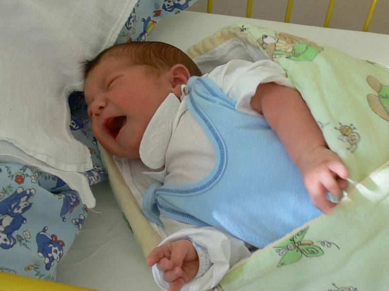 Ludvík Kojan se narodil v prachatické porodnici 11. října 2010 v 09.50 hodin. Chlapeček vážil 4540 gramů a měřil padesát tři centimetrů. Rodiče Ivana a Jiří jsou z Vimperka. Doma na brášku čeká čtyřletý Honzík.