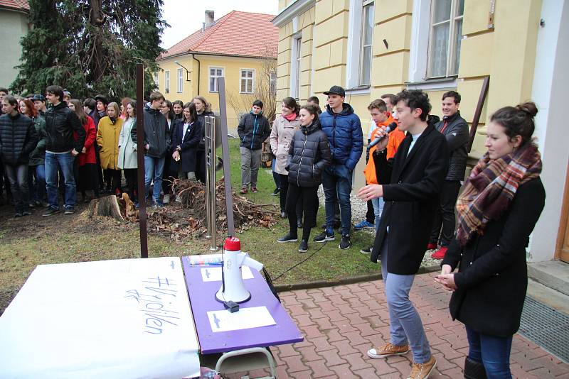 Prachatičtí gymnazisté se připojili k aktivitě Vyjdi ven!