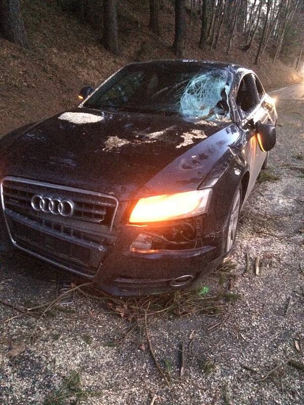 Jen pár set metrů na Prachaticemi, na silnici na Libínské Sedlo, spadl na Audi strom. Jeho řidička utrpěla lehká zranění.
