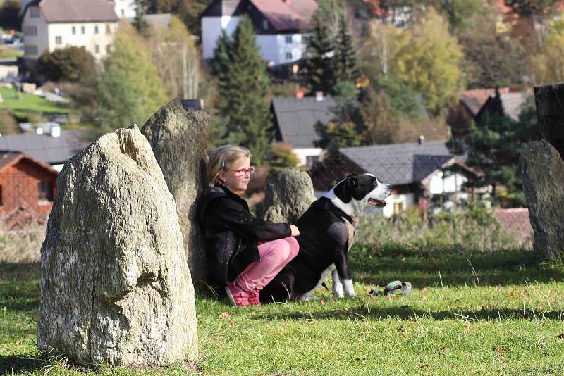 Letošní volarskou drakiádu provázelo skvělé počasí.