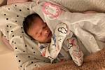 MICHAELA PEŠTOVÁ, PŘÍBRAM. Narodila se v neděli 22. prosince ve 2 hodiny 31 minut v příbramské nemocnici. Vážila 3 550 gramů a měřila 51 cm. Rodiče: Zuzana Málková z Nebahov a František Pešta z Příbrami.