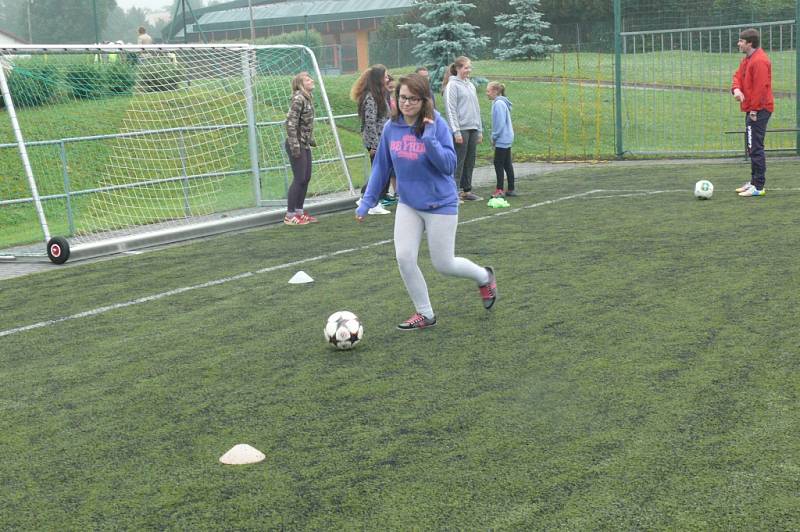 Fotbal se odehrával na umělce.