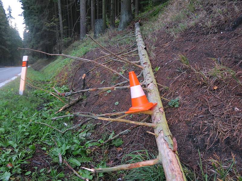 Strom spadl na auto mezi šumavskou Horní Vltavicí a Kubovou Hutí na hlavní silnici I/4.