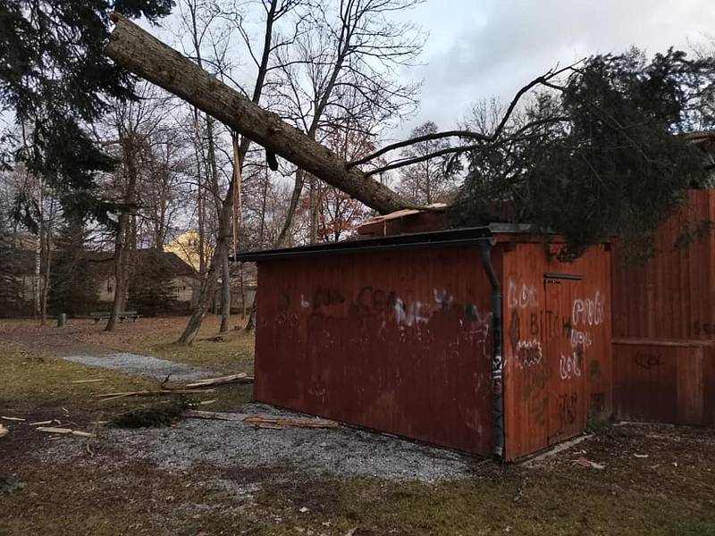 Letní parket ve Zdíkově je zničil spadlý strom.