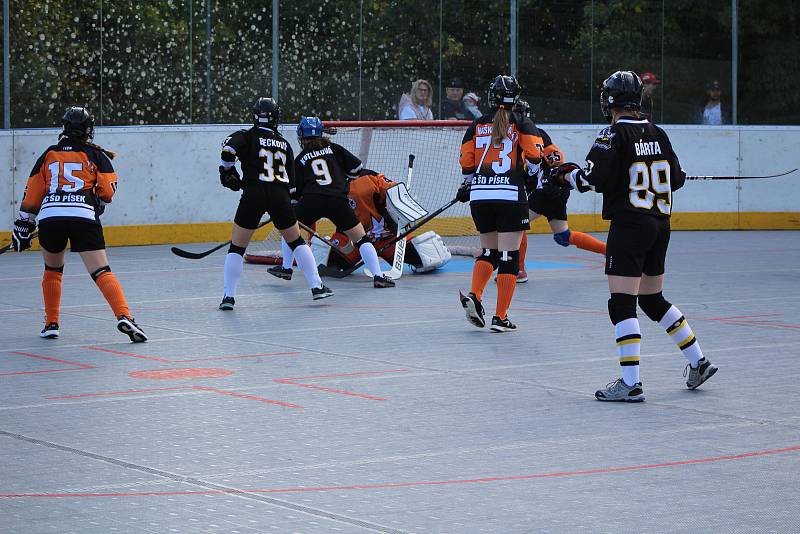 Hokejbalová liga žen - turnaj v Prachaticích.