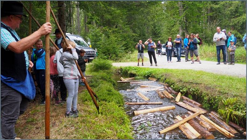 V sobotu 14. září se letos již osmé plavení dříví konalo v Rakousku u potoku Schrollenbach.