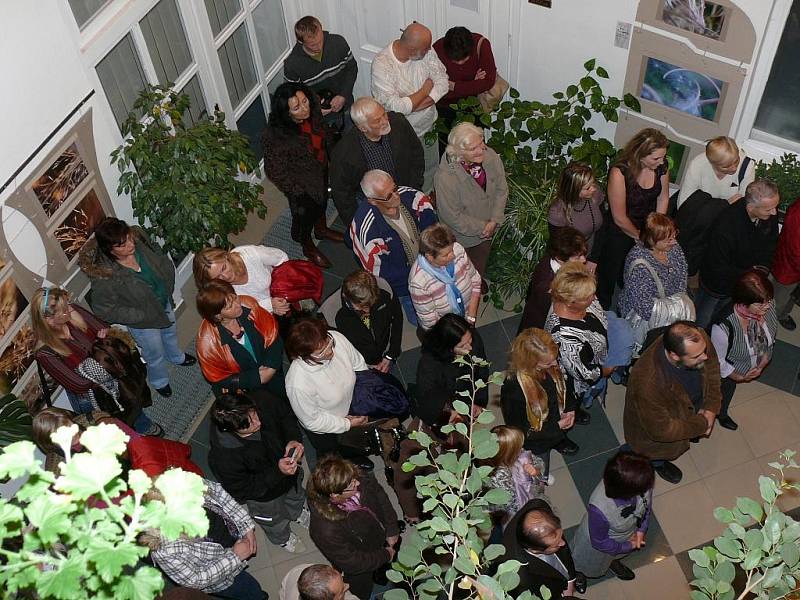 Slavnostní vernisáží začala v úterý 3. listopadu nová výstava v Zimní zahradě MěÚ Prachatice, při níž představuje své fotografie Marcela Haspeklová.