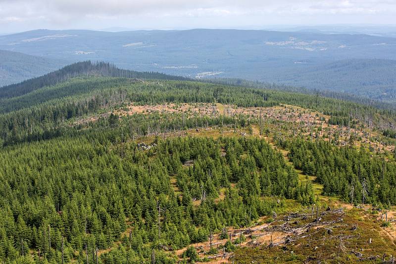 Situace na Poledníku jak ji prezentuje na svých fotografiích Správa NP Šumava.