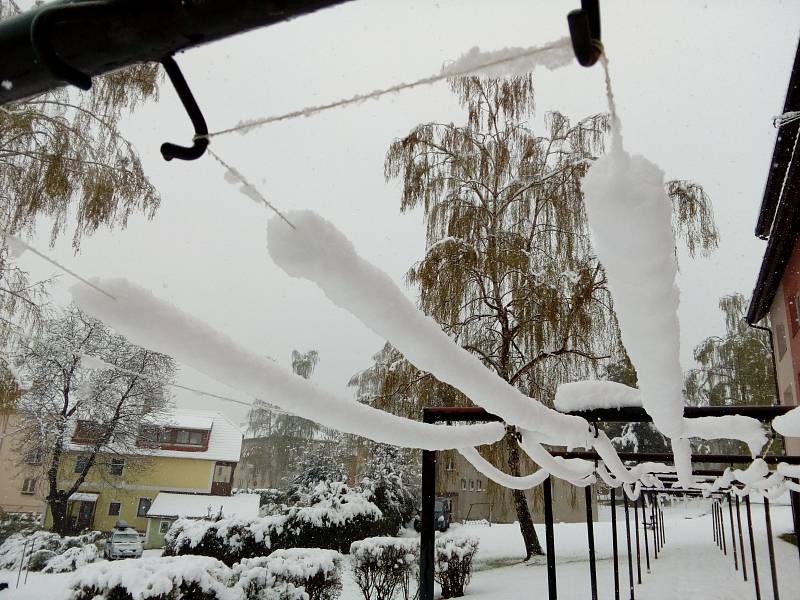 Husté noční a ranní sněžení způsobilo na Prachaticku místa kalamitní stav. Těžký sníh lámal větvě i stromy. Následné výpadky proudu působily problémy v obchodech i na úřadech.