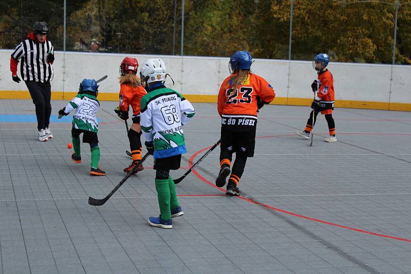 Prachatická Highlanders aréna hostila turnaj mladších a starších přípravek z jihu Čech.