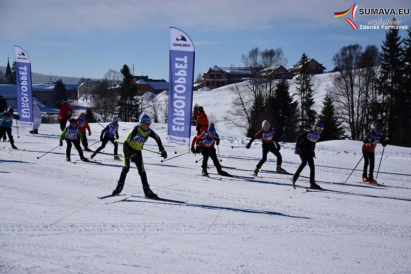 Šumava o víkendu žila dalším ročníkem Šumavského skimaratonu.