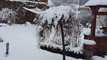 Ve Vodňanech leží 10 centimetrů sněhu a začíná slabě sněžit.
