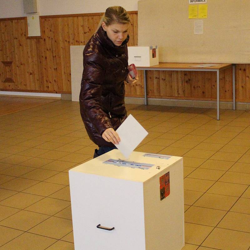 Druhé kolo prezidentských voleb ve Vitějovicích.